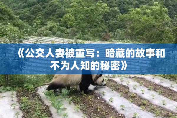 《公交人妻被重写：暗藏的故事和不为人知的秘密》
