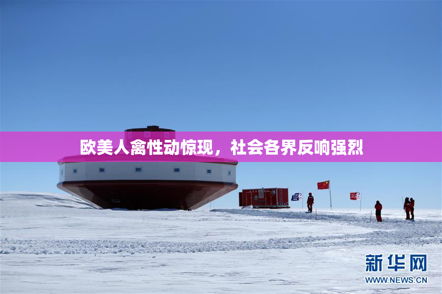 欧美人禽性动惊现，社会各界反响强烈