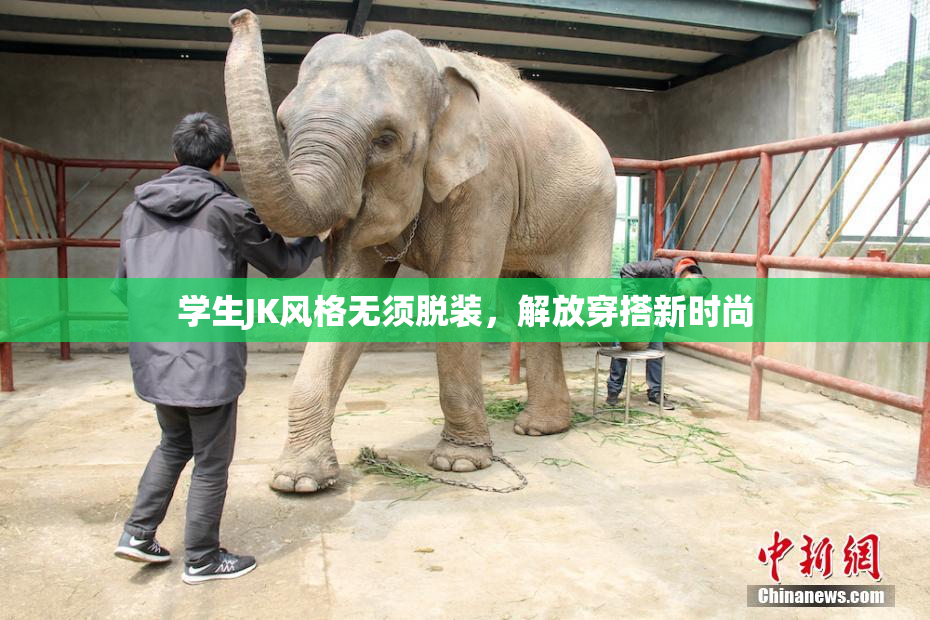 学生JK风格无须脱装，解放穿搭新时尚