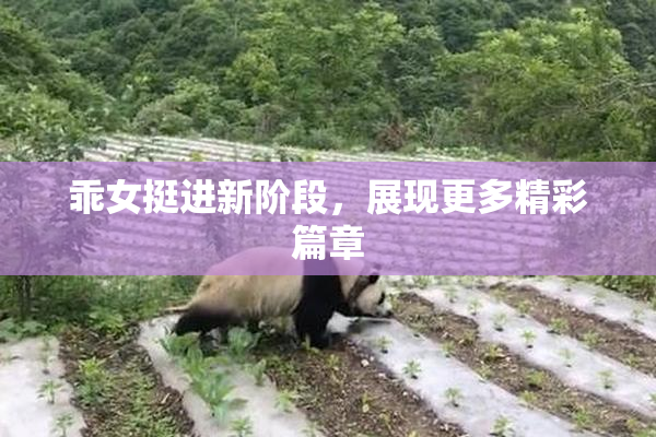 乖女挺进新阶段，展现更多精彩篇章