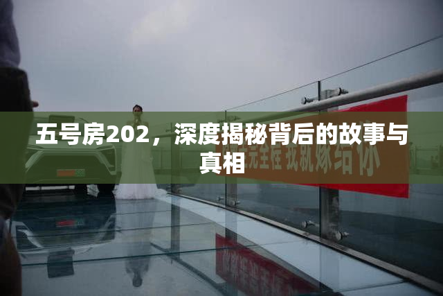 五号房202，深度揭秘背后的故事与真相