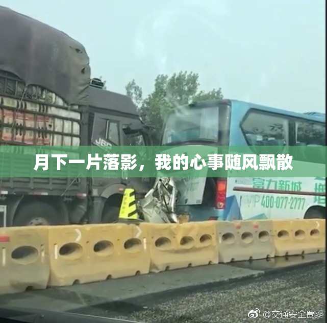 月下一片落影，我的心事随风飘散