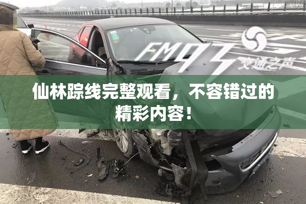 仙林踪线完整观看，不容错过的精彩内容！