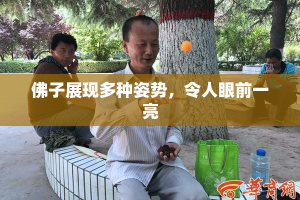 佛子展现多种姿势，令人眼前一亮