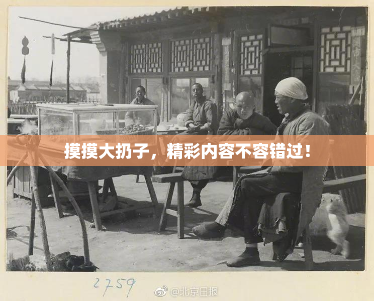 摸摸大扔子，精彩内容不容错过！