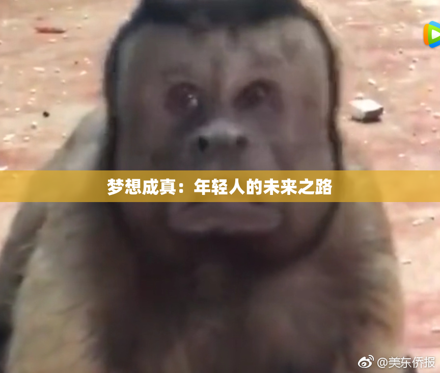 梦想成真：年轻人的未来之路