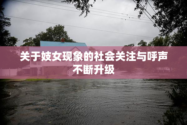 关于妓女现象的社会关注与呼声不断升级
