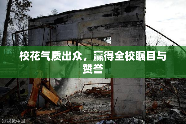 校花气质出众，赢得全校瞩目与赞誉