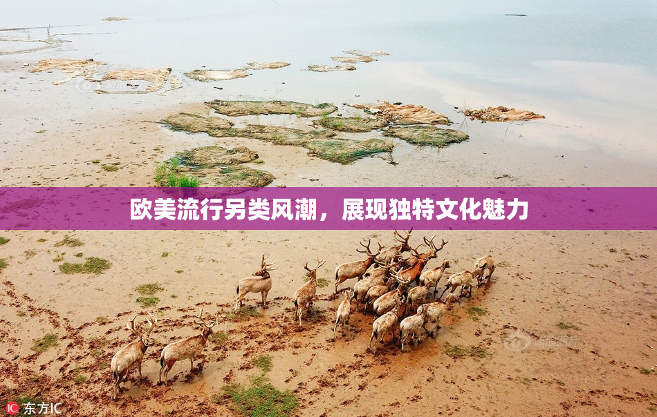 欧美流行另类风潮，展现独特文化魅力