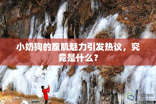 小奶狗的腹肌魅力引发热议，究竟是什么？
