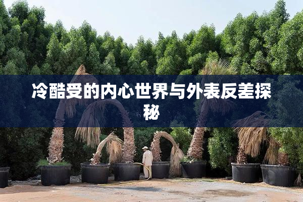 冷酷受的内心世界与外表反差探秘