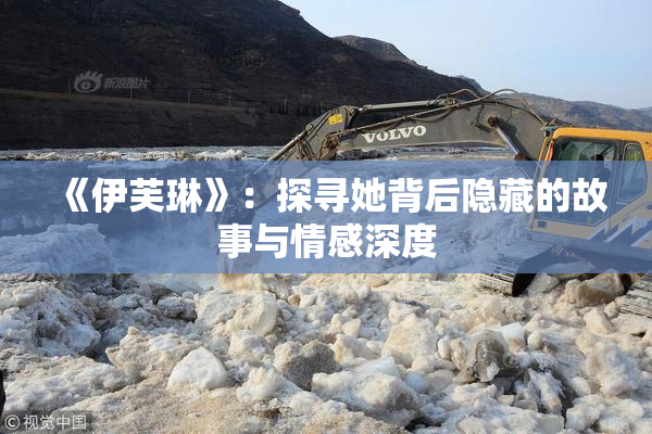 《伊芙琳》：探寻她背后隐藏的故事与情感深度