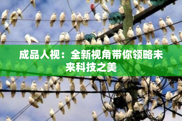 成品人视：全新视角带你领略未来科技之美