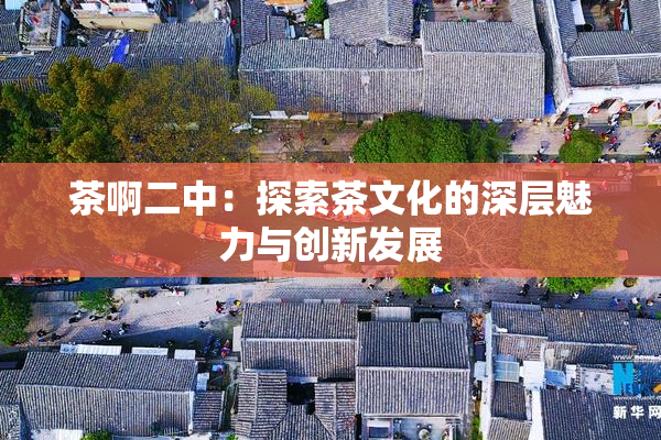 茶啊二中：探索茶文化的深层魅力与创新发展