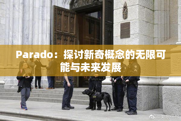 Parado：探讨新奇概念的无限可能与未来发展
