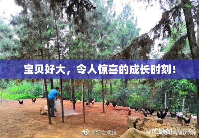 宝贝好大，令人惊喜的成长时刻！