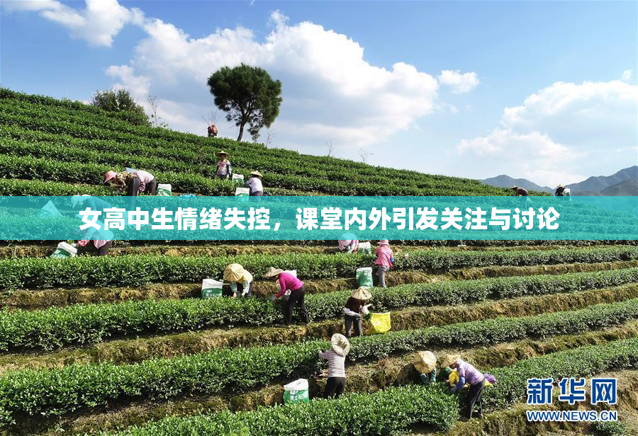 女高中生情绪失控，课堂内外引发关注与讨论