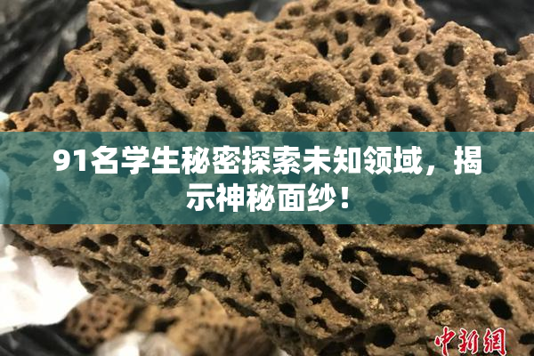 91名学生秘密探索未知领域，揭示神秘面纱！