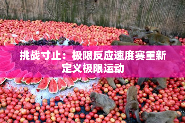 挑战寸止：极限反应速度赛重新定义极限运动