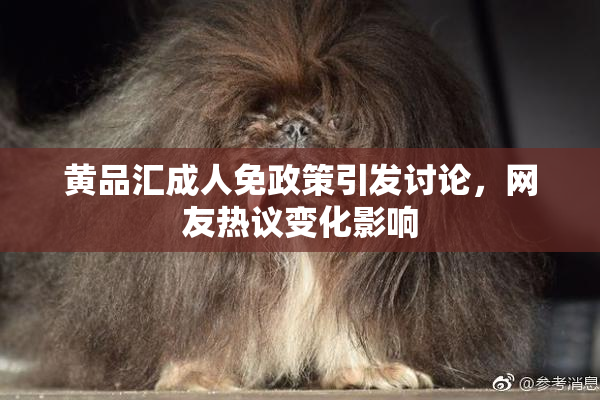 黄品汇成人免政策引发讨论，网友热议变化影响