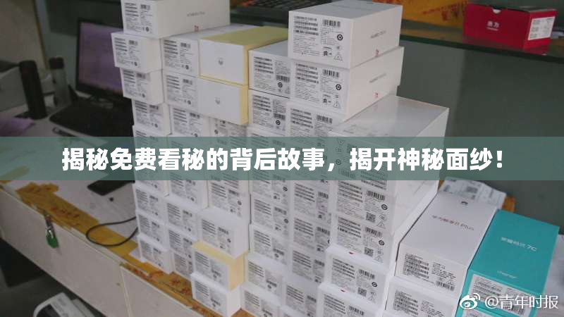 揭秘免费看秘的背后故事，揭开神秘面纱！