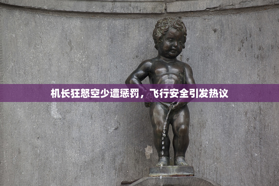 机长狂怒空少遭惩罚，飞行安全引发热议