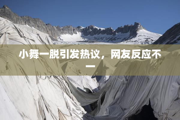 小舞一脱引发热议，网友反应不一