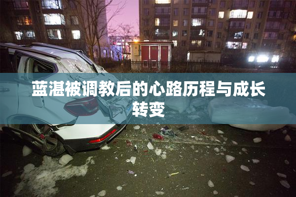 蓝湛被调教后的心路历程与成长转变