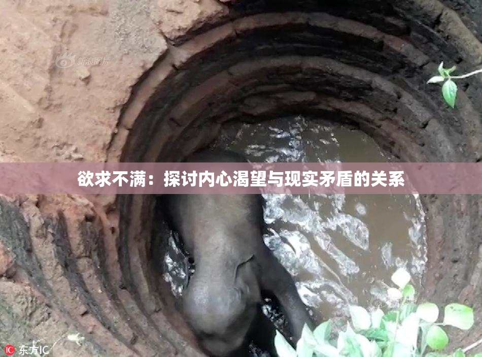 欲求不满：探讨内心渴望与现实矛盾的关系