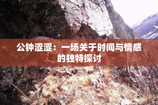 公钟涩涩：一场关于时间与情感的独特探讨