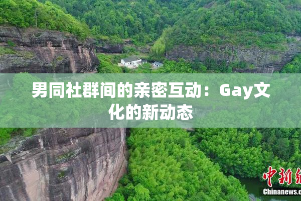 男同社群间的亲密互动：Gay文化的新动态