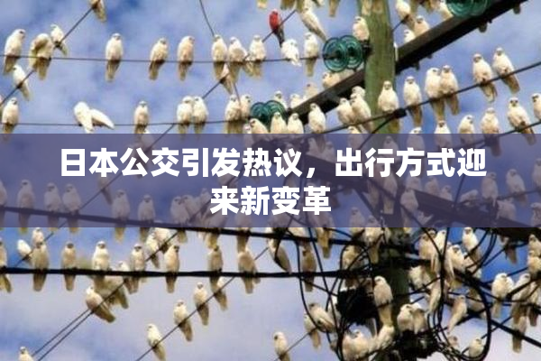 日本公交引发热议，出行方式迎来新变革