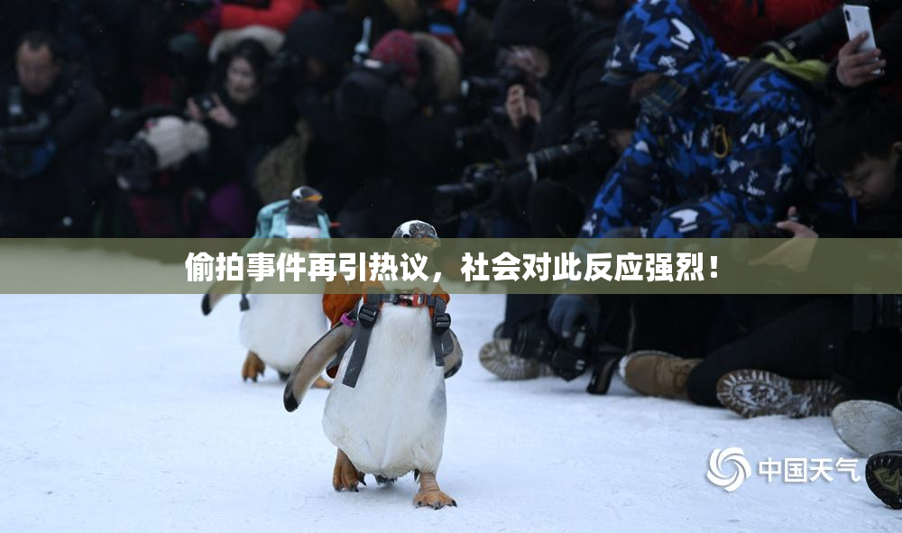 偷拍事件再引热议，社会对此反应强烈！