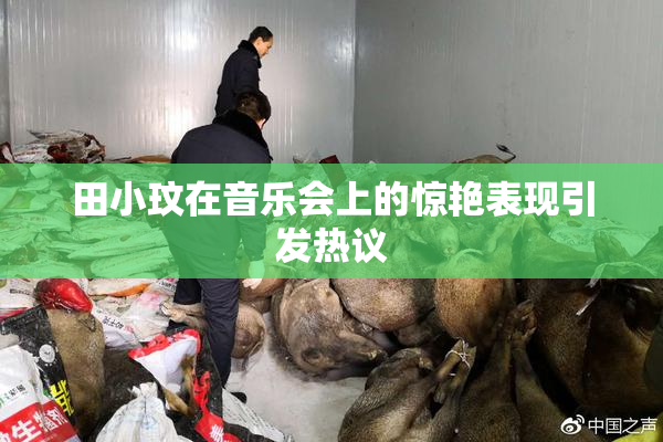 田小玟在音乐会上的惊艳表现引发热议