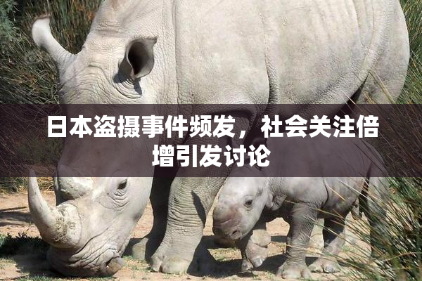 日本盗摄事件频发，社会关注倍增引发讨论
