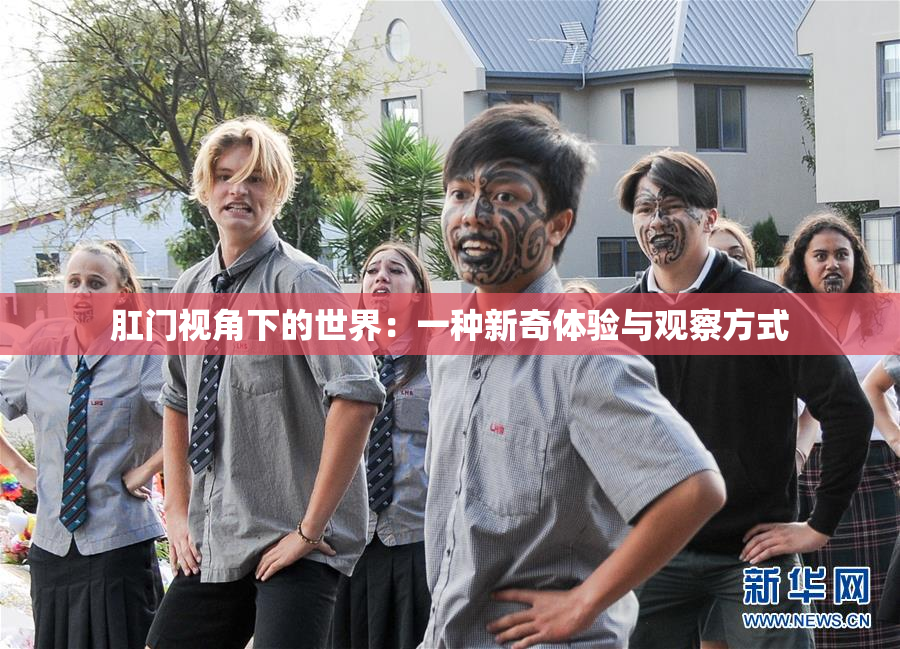 肛门视角下的世界：一种新奇体验与观察方式