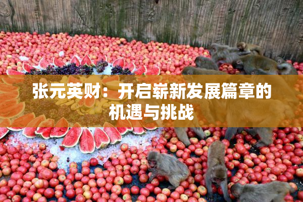 张元英财：开启崭新发展篇章的机遇与挑战