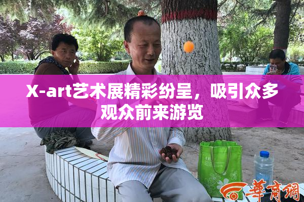 X-art艺术展精彩纷呈，吸引众多观众前来游览