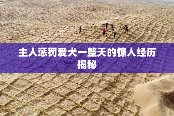主人惩罚爱犬一整天的惊人经历揭秘