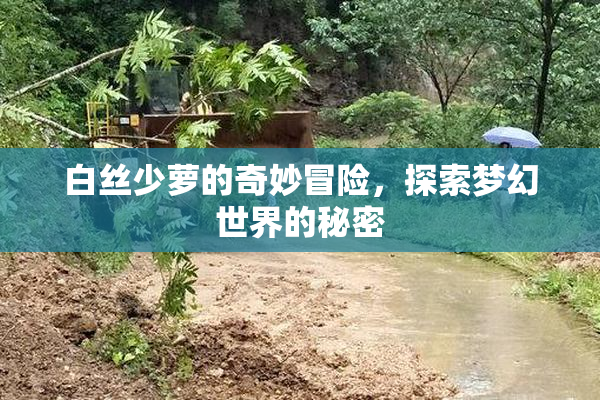 白丝少萝的奇妙冒险，探索梦幻世界的秘密