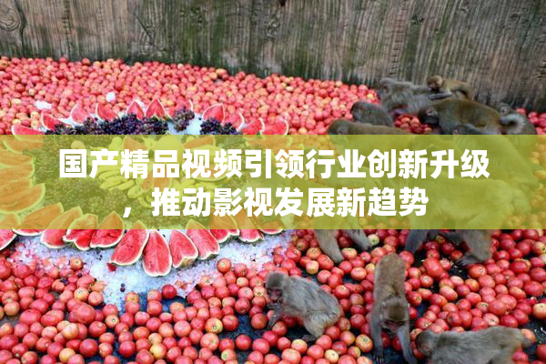 国产精品视频引领行业创新升级，推动影视发展新趋势