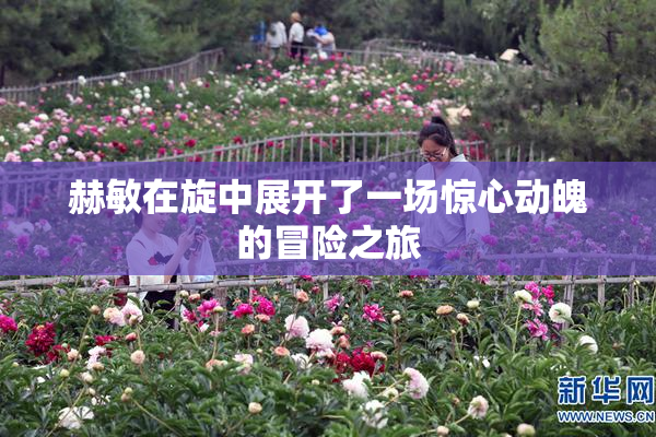 赫敏在旋中展开了一场惊心动魄的冒险之旅
