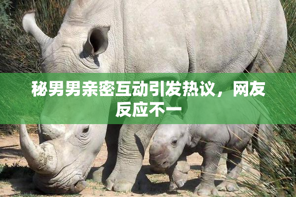 秘男男亲密互动引发热议，网友反应不一