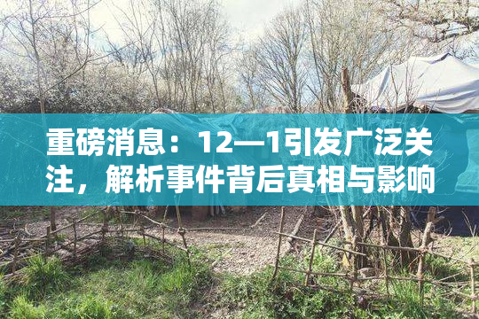 重磅消息：12—1引发广泛关注，解析事件背后真相与影响