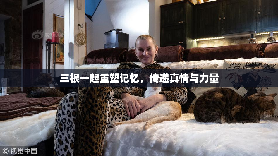 三根一起重塑记忆，传递真情与力量