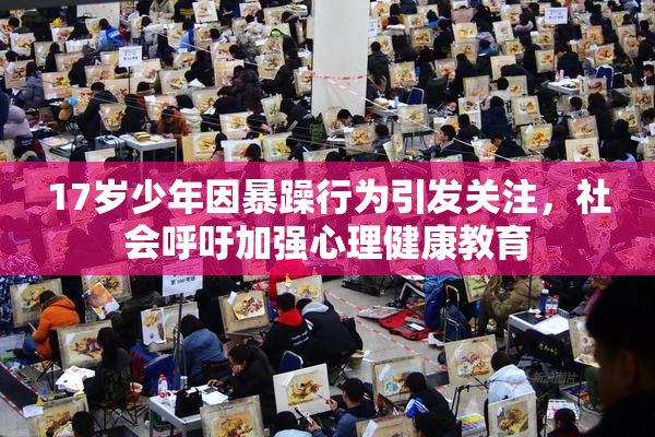 17岁少年因暴躁行为引发关注，社会呼吁加强心理健康教育