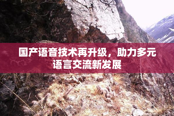 国产语音技术再升级，助力多元语言交流新发展