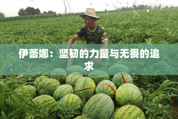 伊蕾娜：坚韧的力量与无畏的追求