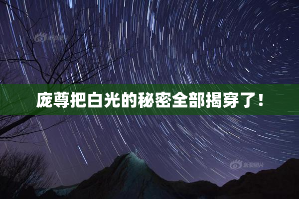 庞尊把白光的秘密全部揭穿了！