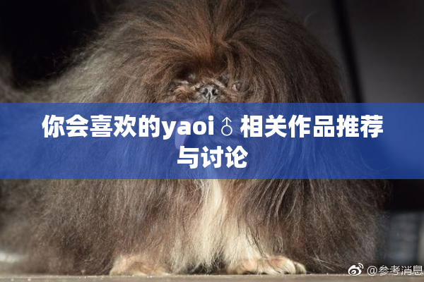 你会喜欢的yaoi♂相关作品推荐与讨论